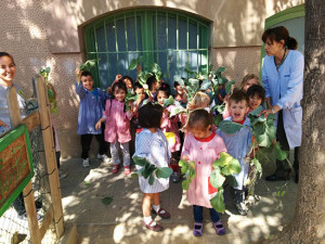Escuela Pere Vila - Huerto