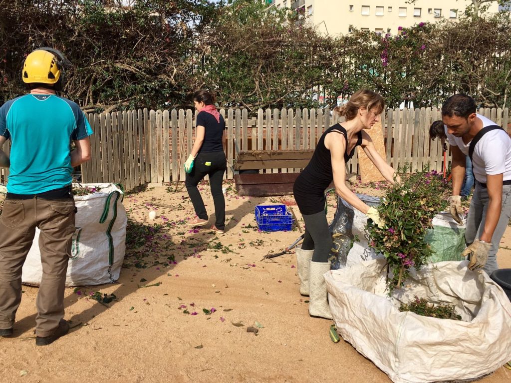 colaboración para cortar la buganvilla del sorral
