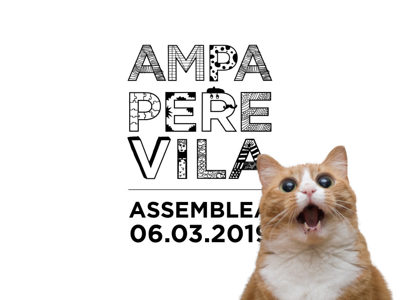 presentacion asamblea pere vila